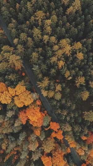 聚氨酯发泡黑料白料截图1