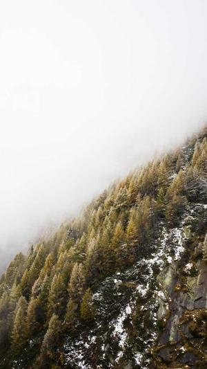 国内最新吃瓜事件截图3