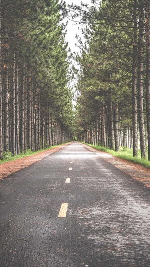 黑料不打烊入口知乎截图1