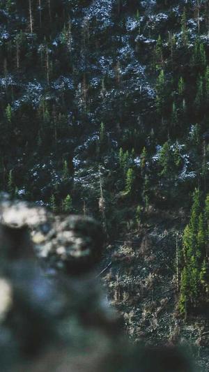 月经可以吃哈密瓜吗截图3