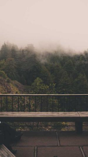 黑料吃瓜网app截图2