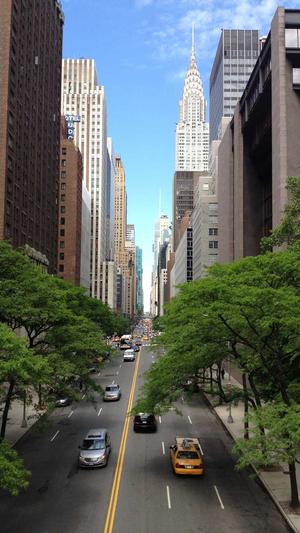 哈密瓜香蕉能一起吃吗截图2