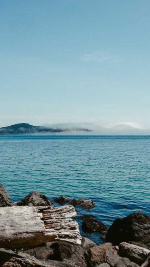 tttzzz黑料不打烊网站截图3