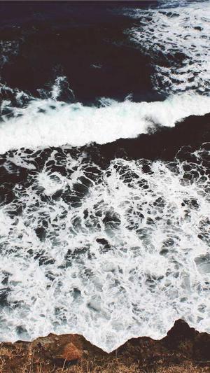 豆瓣自由吃瓜截图5