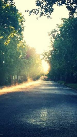 黑料社最新网址截图3