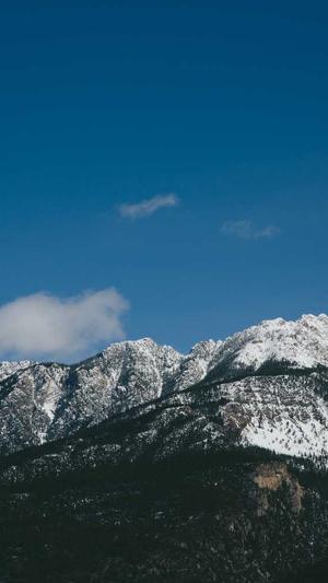 黑料网老司机截图5