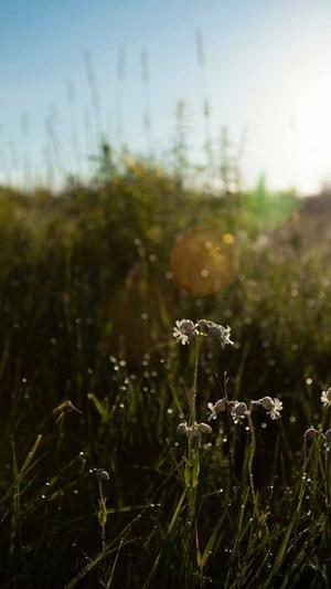 来月经可以吃哈密瓜截图4