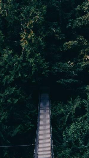 黑料正能量首页截图5