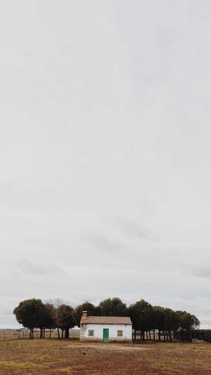 田曦薇黑料截图3