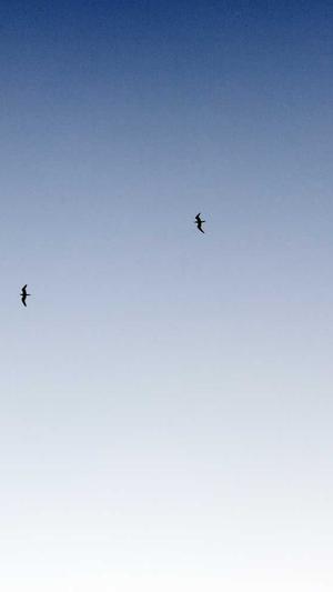 车银优黑料截图1