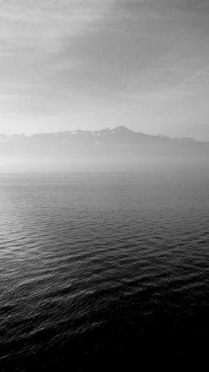 51吃瓜网黑料不打烊截图1