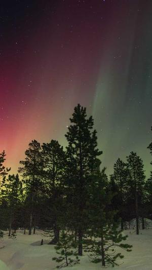 51吃瓜今日截图4