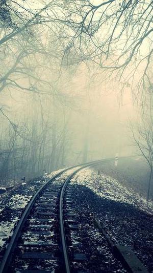 seventeen黑料截图3