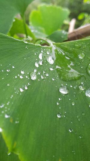 吃瓜视频网站截图2