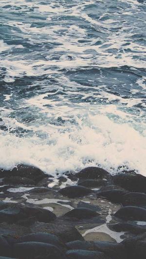 吊瓜图片怎么吃截图4