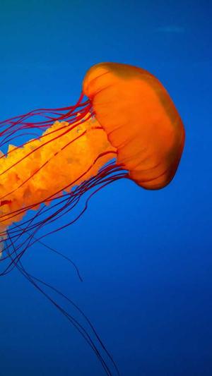 羽生结弦黑料截图4