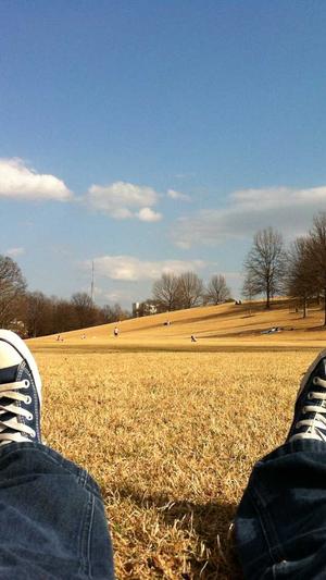 黑料不打烊入口截图3