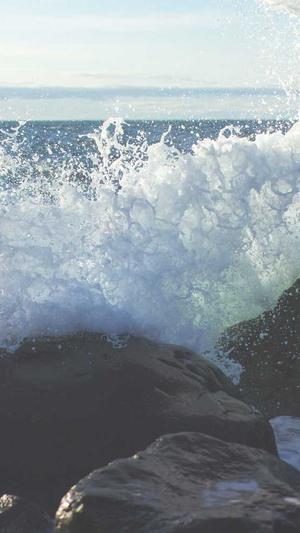 杰尼斯黑料截图2