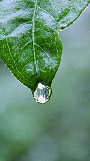 网络上吃瓜是什么意思截图2