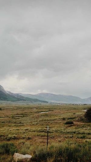 51黑料吃瓜网截图3