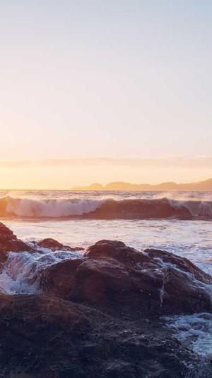 狗狗可以吃哈密瓜么截图1