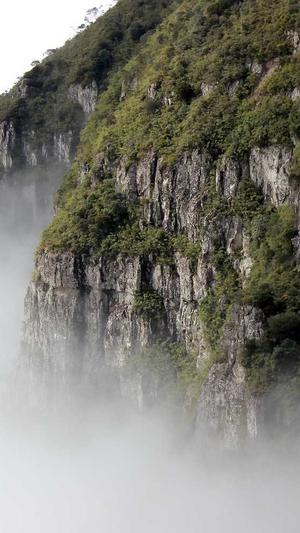 吃瓜网最新官网地址截图4