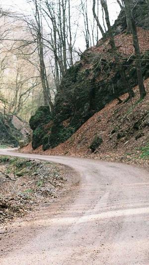 免费吃瓜网截图1