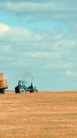 黑料吃瓜网最新截图2