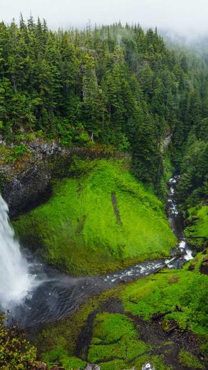 林俊杰黑料截图1