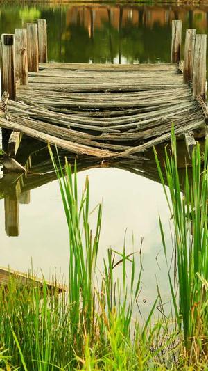 孕妇可以吃哈密瓜截图2