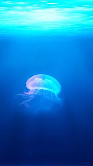 怎么吃哈密瓜截图2