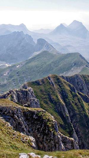 刘亦菲黑料截图2