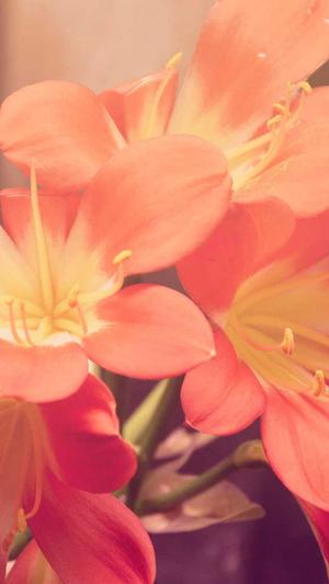 17c吃瓜网-免费吃瓜截图4