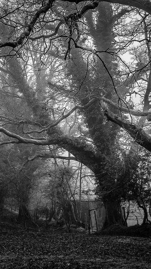 黑料不打烊tttzzz48截图1