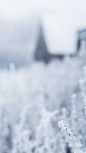 黑料老司机不打烊截图1