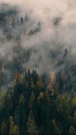 大型吃瓜网站截图2