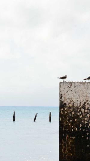 qq吃瓜资源群截图2