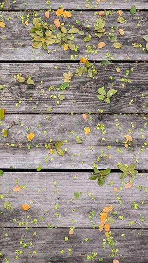 黑料吃瓜不打烊截图1