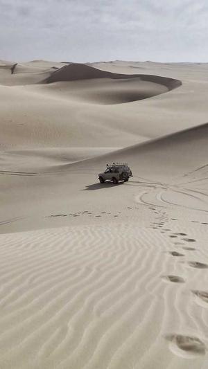 黑料社最新网址截图5