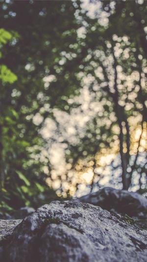 车银优黑料截图3