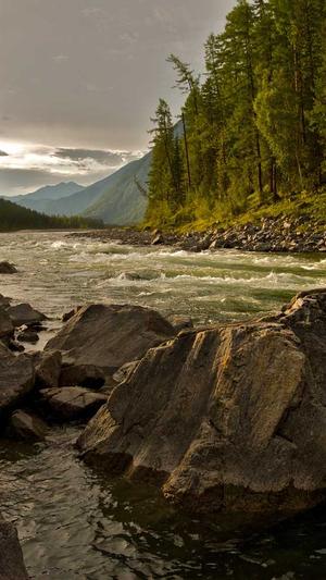 51今日吃瓜爆料截图4