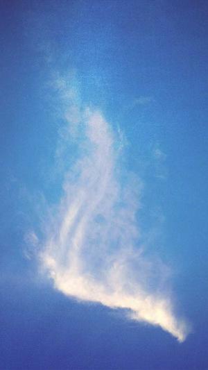 豆瓣自由吃瓜截图2