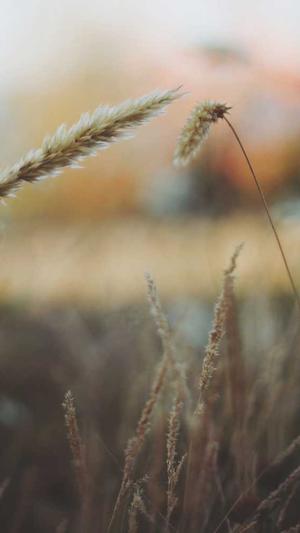 51吃瓜北京朝阳截图2