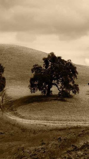 51吃瓜官网网址截图2